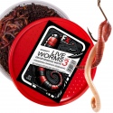 Fishing Expedition Live Worms No.3 - live worms Dendrobena size 3